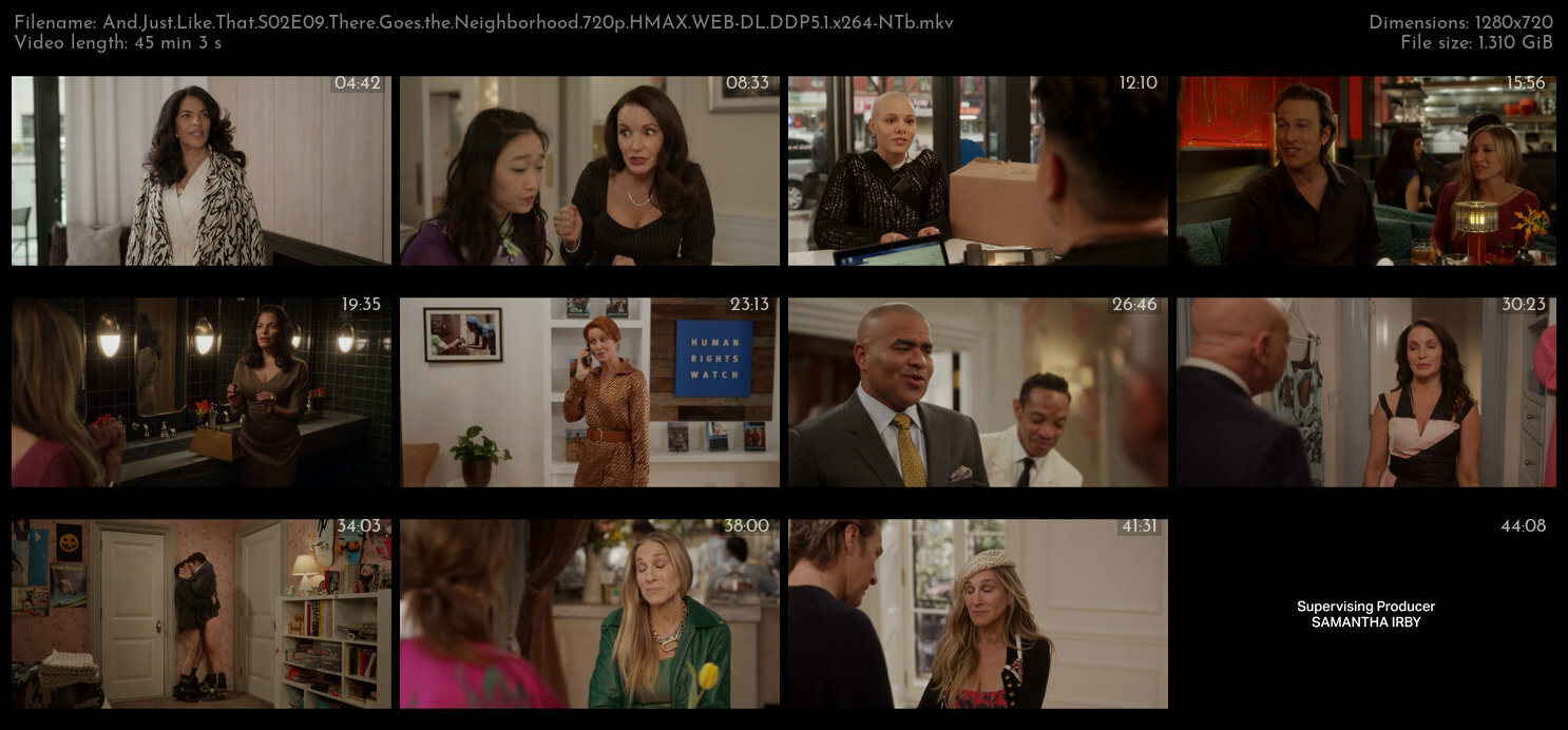 And Just Like That S02E09 There Goes the Neighborhood 720p HMAX WEB DL DDP5 1 x264 NTb TGx