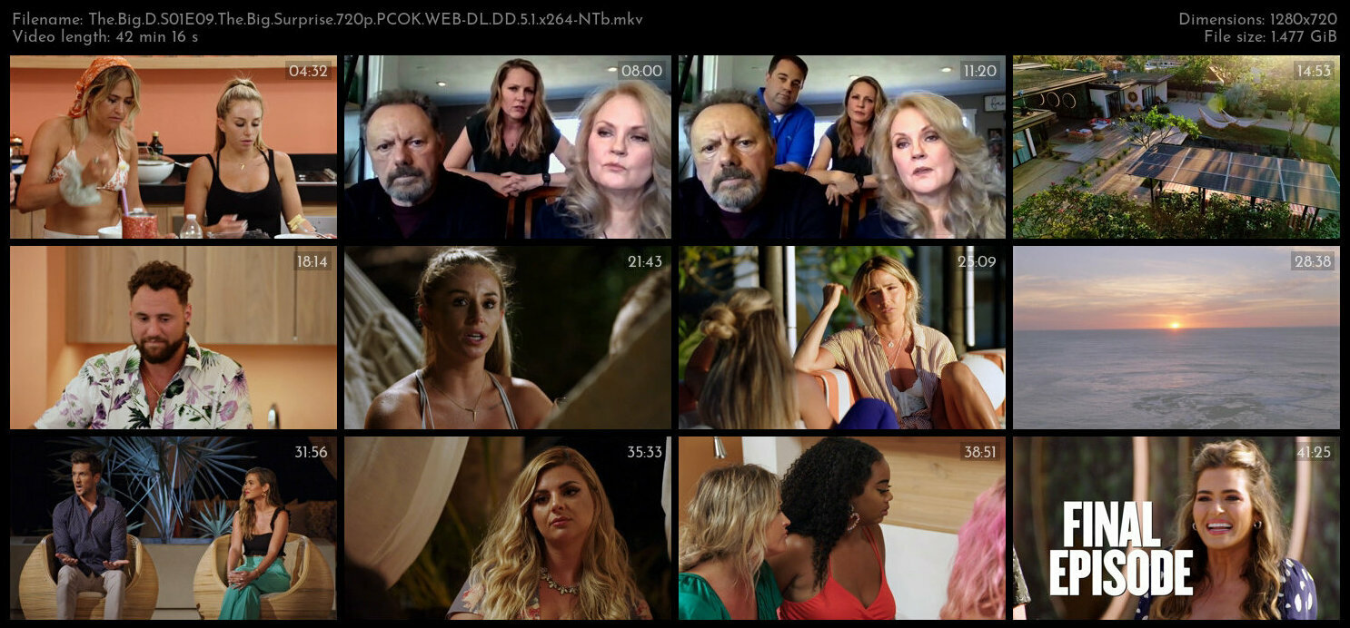 The Big D S01E09 The Big Surprise 720p PCOK WEB DL DD 5 1 x264 NTb TGx