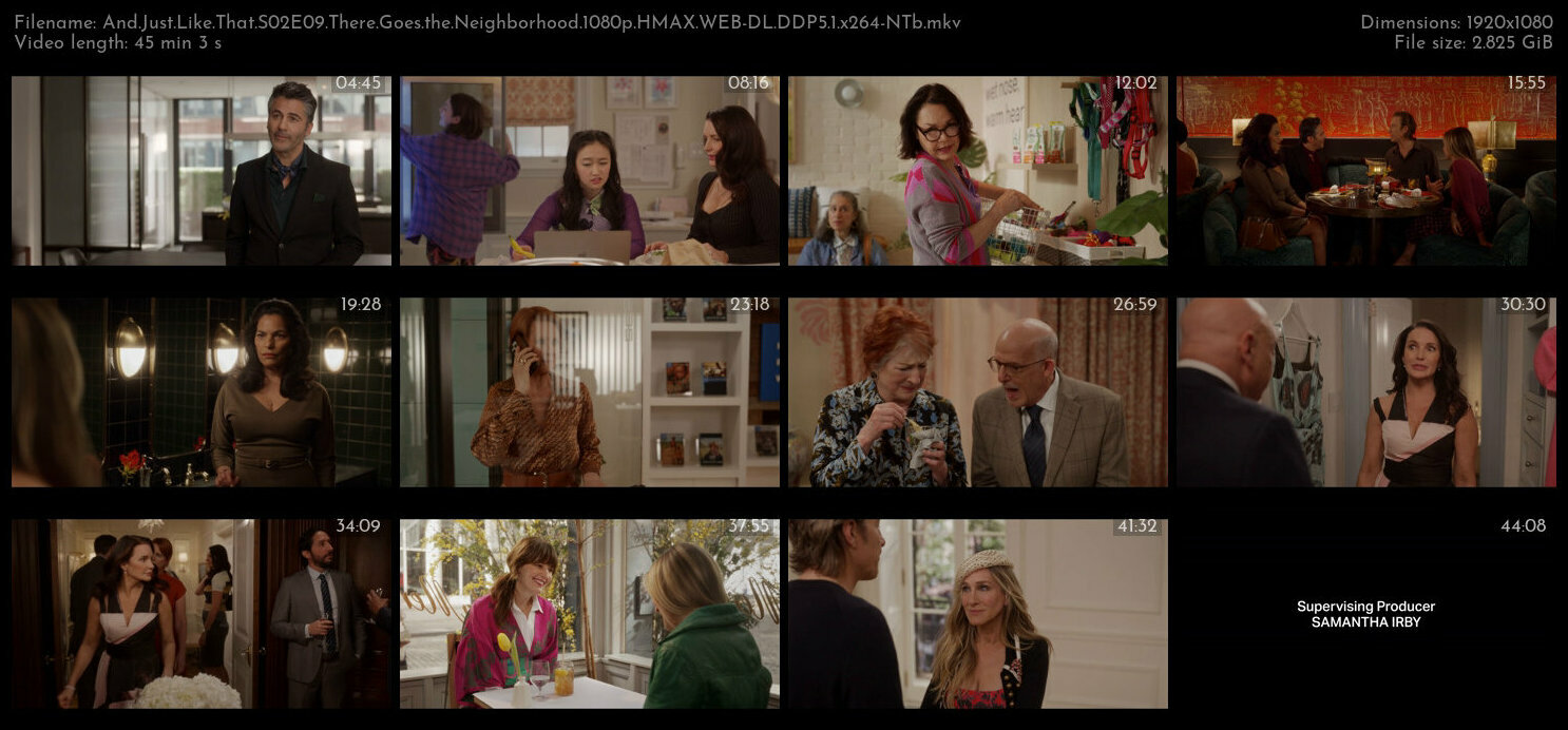 And Just Like That S02E09 There Goes the Neighborhood 1080p HMAX WEB DL DDP5 1 x264 NTb TGx