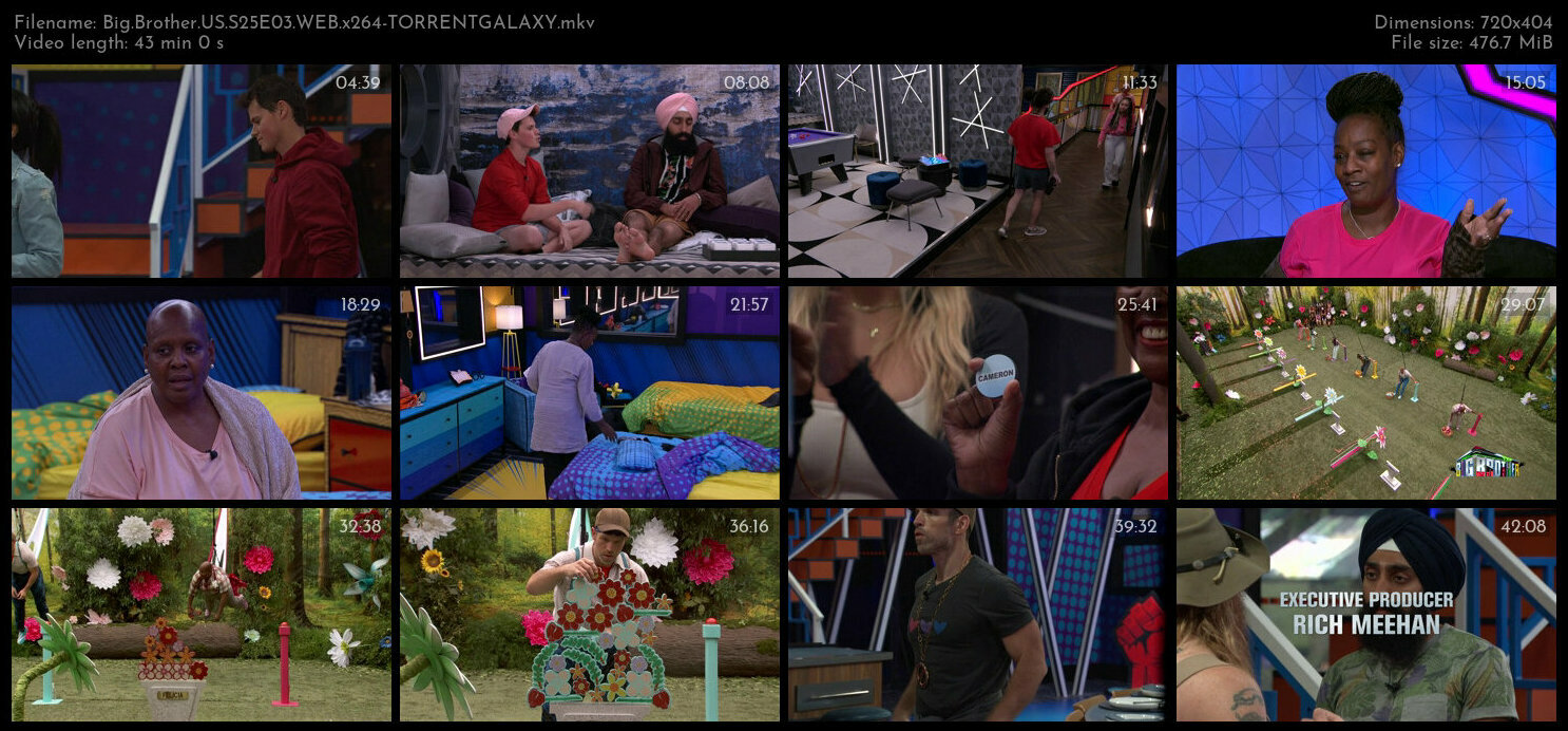 Big Brother US S25E03 WEB x264 TORRENTGALAXY