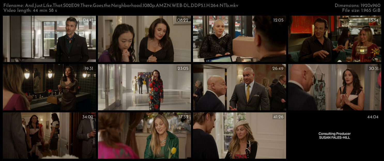 And Just Like That S02E09 There Goes the Neighborhood 1080p AMZN WEB DL DDP5 1 H 264 NTb TGx