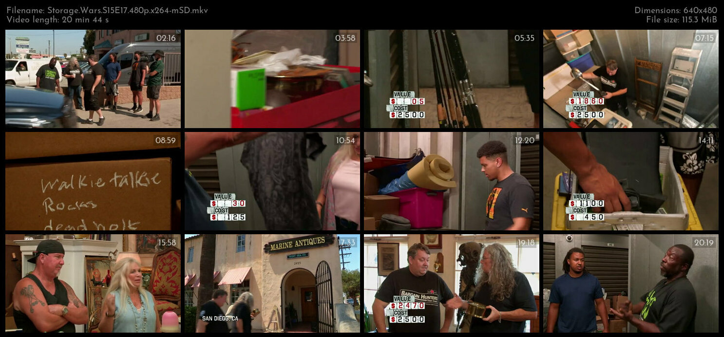 Storage Wars S15E17 480p x264 mSD TGx