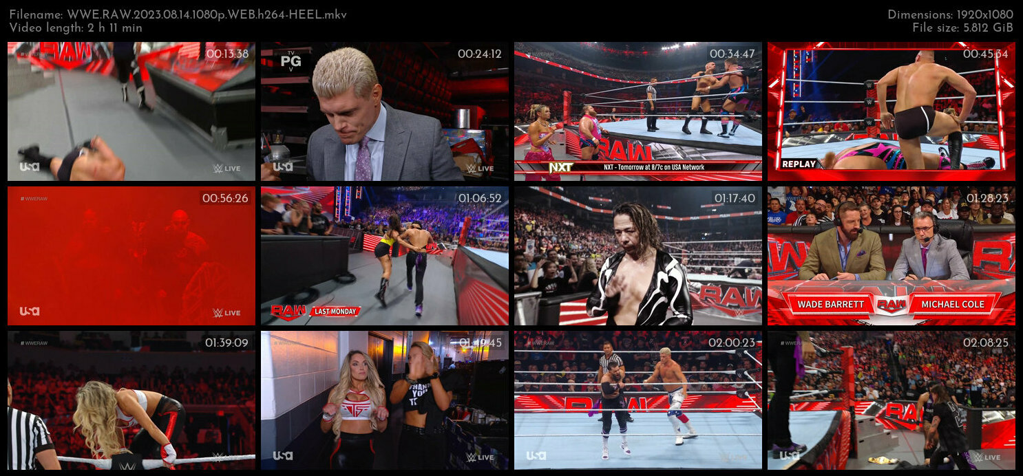 WWE RAW 2023 08 14 1080p WEB h264 HEEL TGx