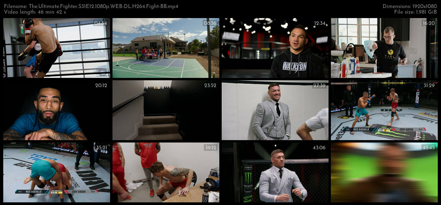 The Ultimate Fighter S31E12 1080p WEB DL H264 Fight BB