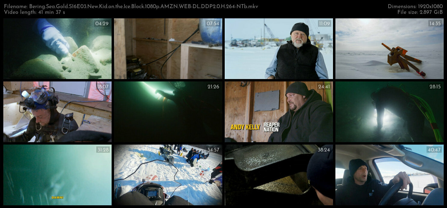 Bering Sea Gold S16E03 New Kid on the Ice Block 1080p AMZN WEB DL DDP2 0 H 264 NTb TGx