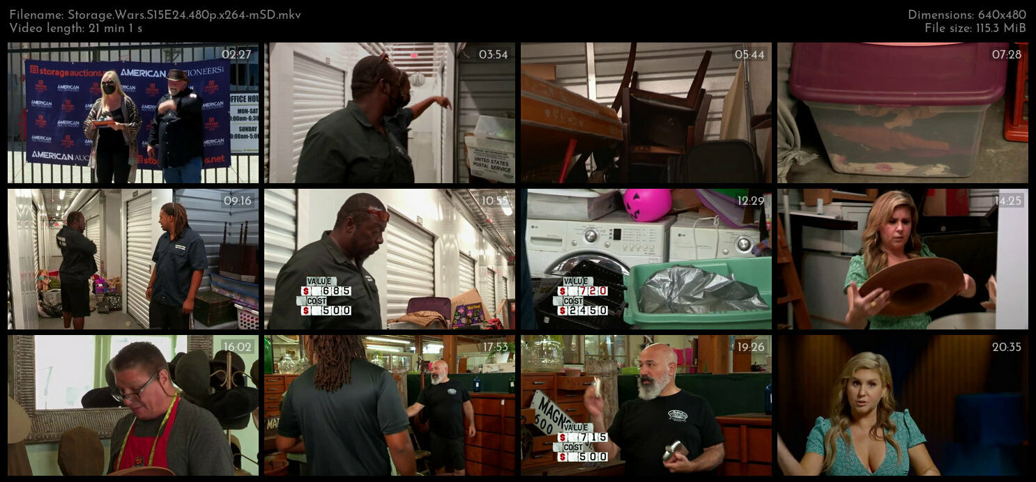 Storage Wars S15E24 480p x264 mSD TGx