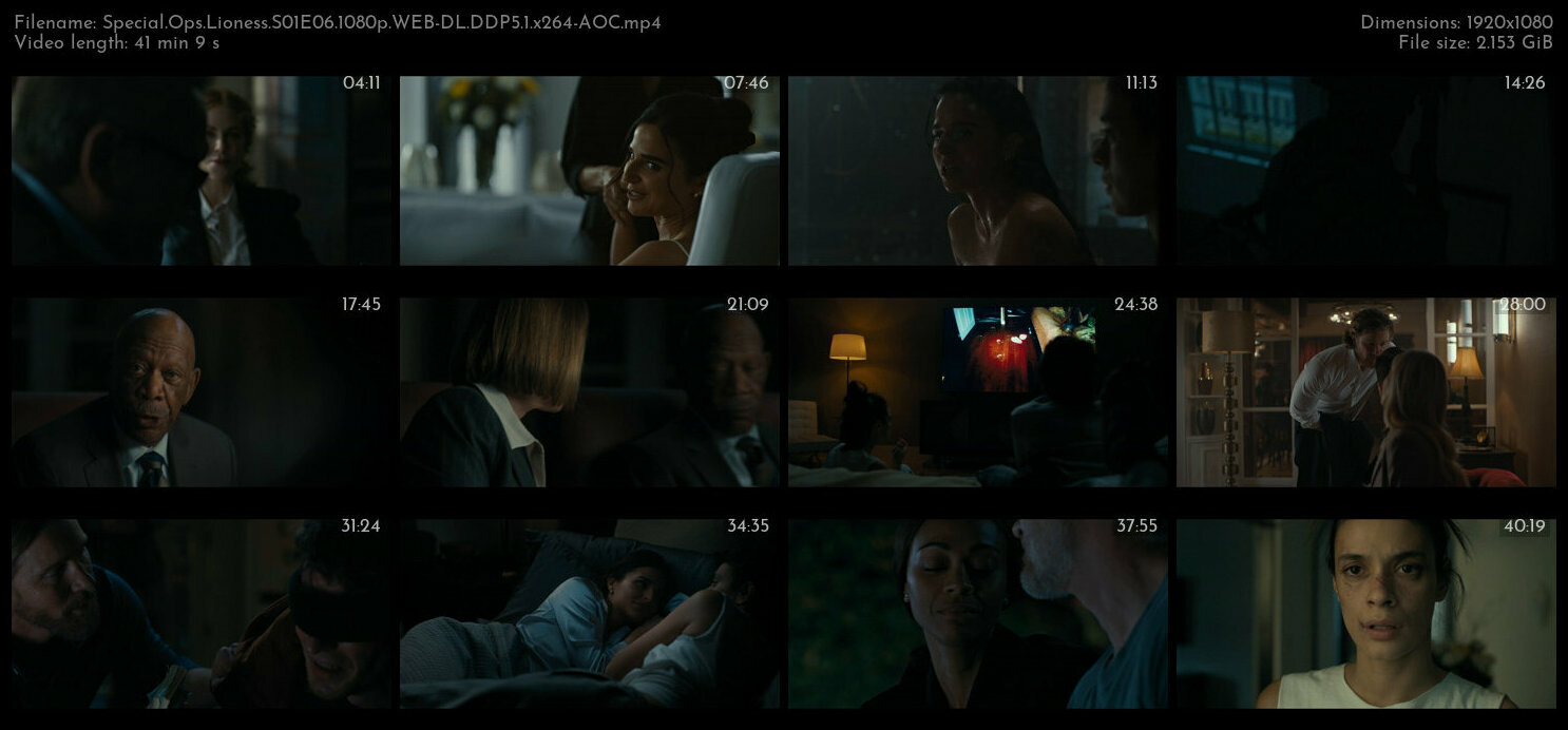 Special Ops Lioness S01E06 1080p WEB DL DDP5 1 x264 AOC TGx