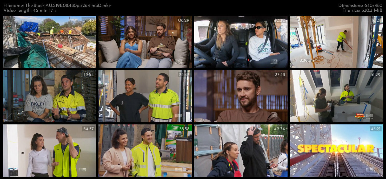 The Block AU S19E08 480p x264 mSD TGx