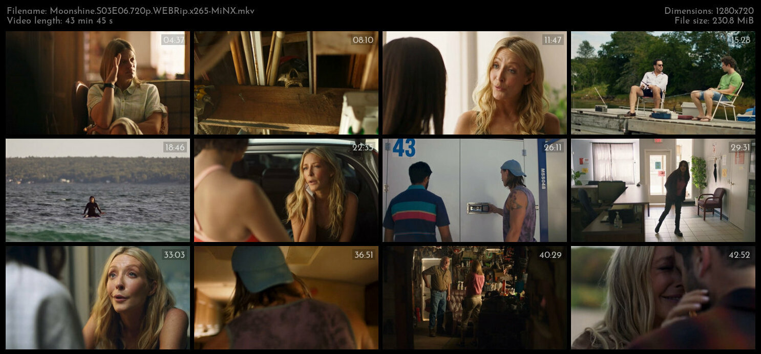 Moonshine S03E06 720p WEBRip x265 MiNX TGx