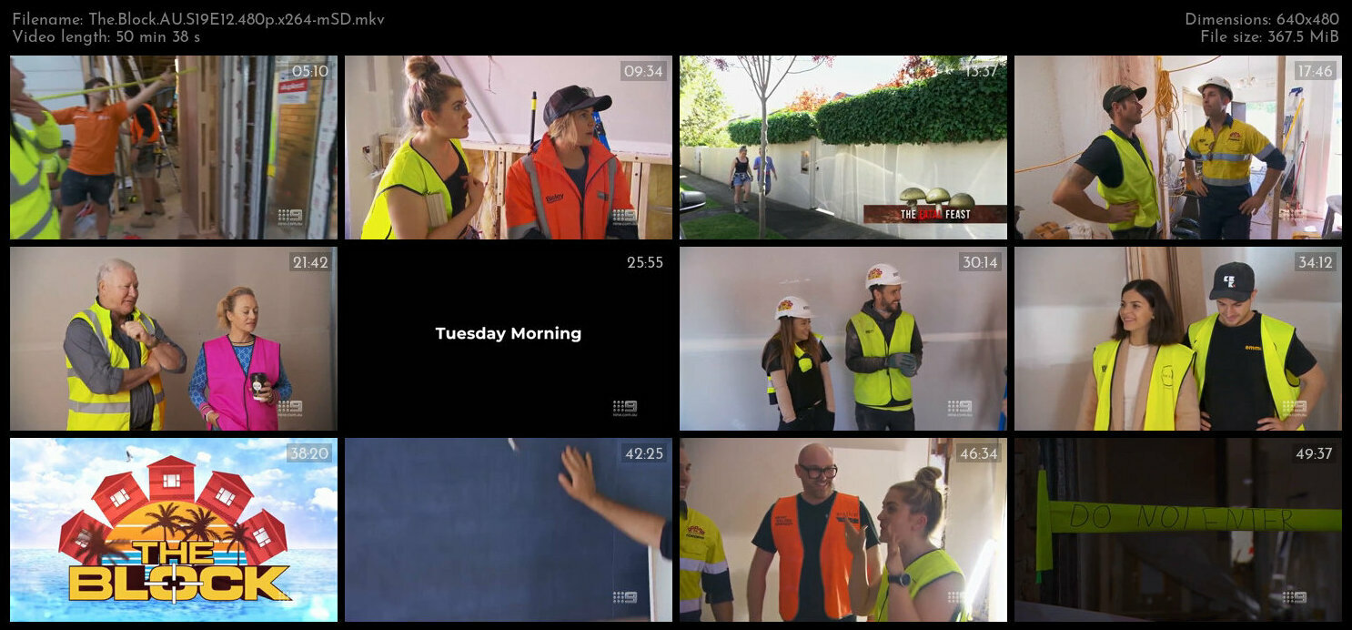 The Block AU S19E12 480p x264 mSD TGx