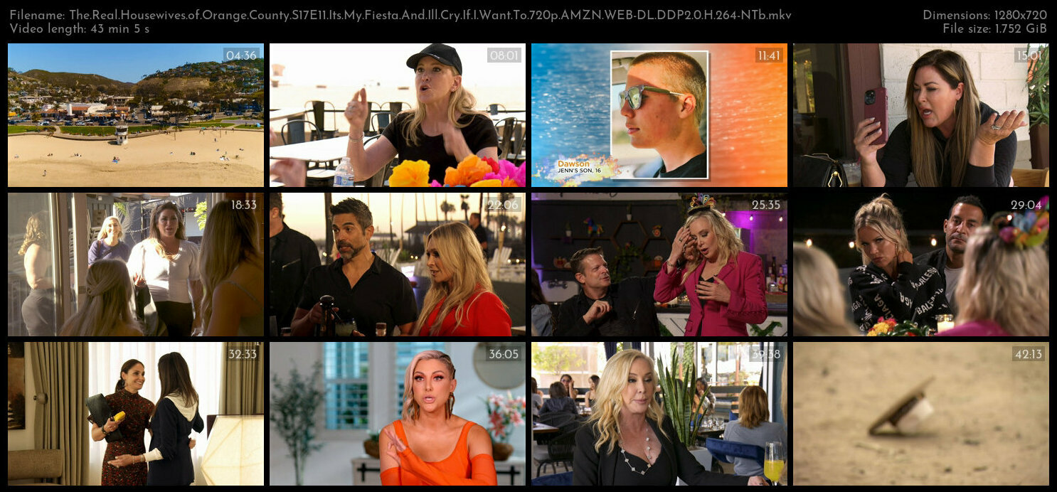 The Real Housewives of Orange County S17E11 Its My Fiesta And Ill Cry If I Want To 720p AMZN WEB DL