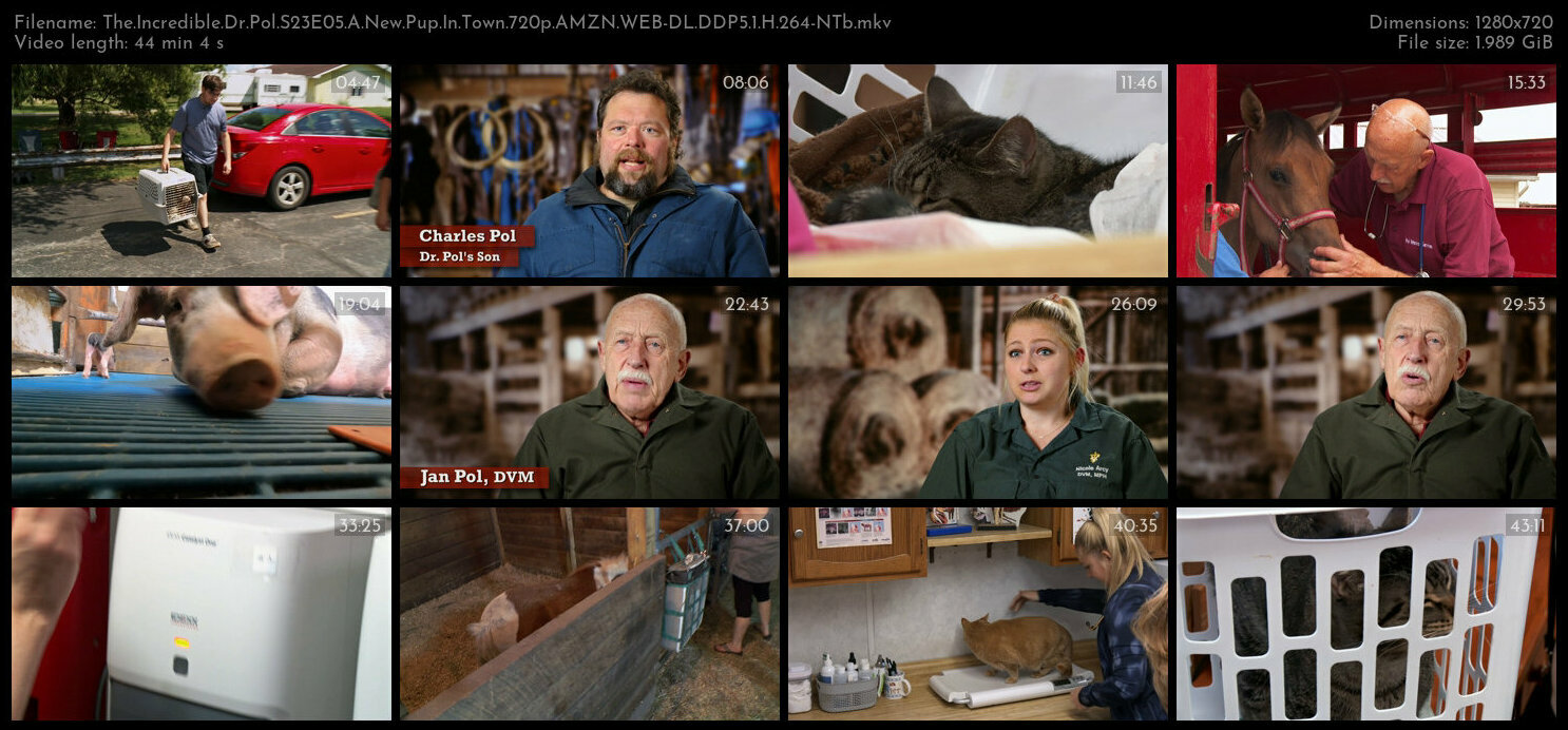 The Incredible Dr Pol S23E05 A New Pup In Town 720p AMZN WEB DL DDP5 1 H 264 NTb TGx