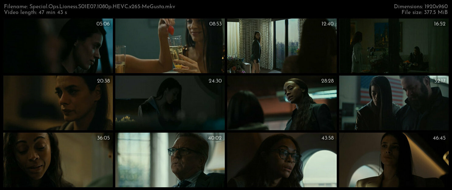 Special Ops Lioness S01E07 1080p HEVC x265 MeGusta TGx