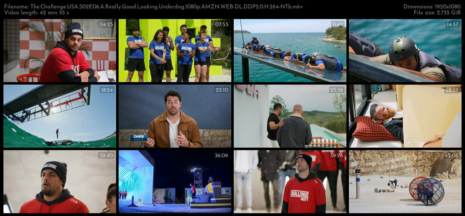 The Challenge USA S02E06 A Really Good Looking Underdog 1080p AMZN WEB DL DDP2 0 H 264 NTb TGx