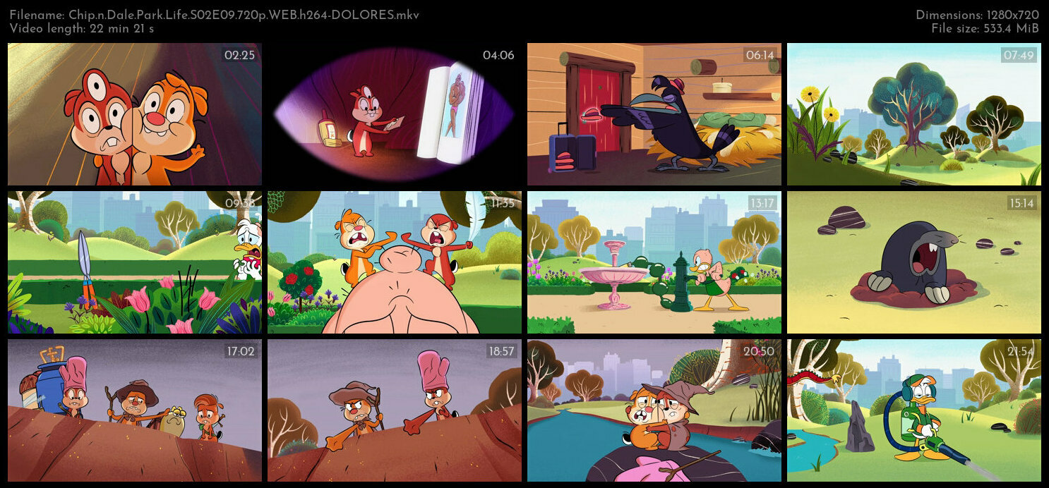 Chip n Dale Park Life S02E09 720p WEB h264 DOLORES TGx