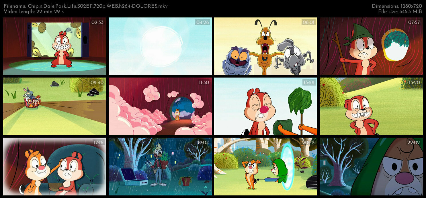 Chip n Dale Park Life S02E11 720p WEB h264 DOLORES TGx