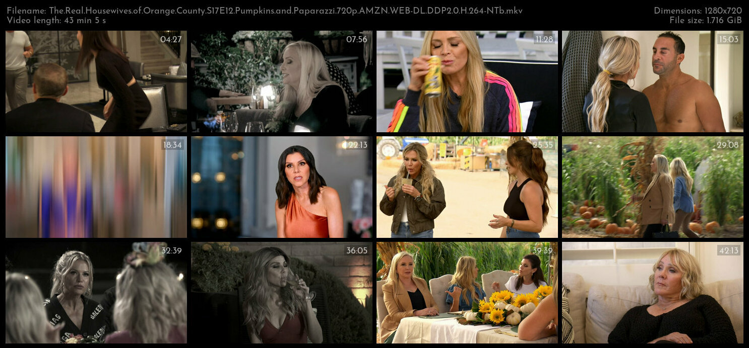 The Real Housewives of Orange County S17E12 Pumpkins and Paparazzi 720p AMZN WEB DL DDP2 0 H 264 NTb