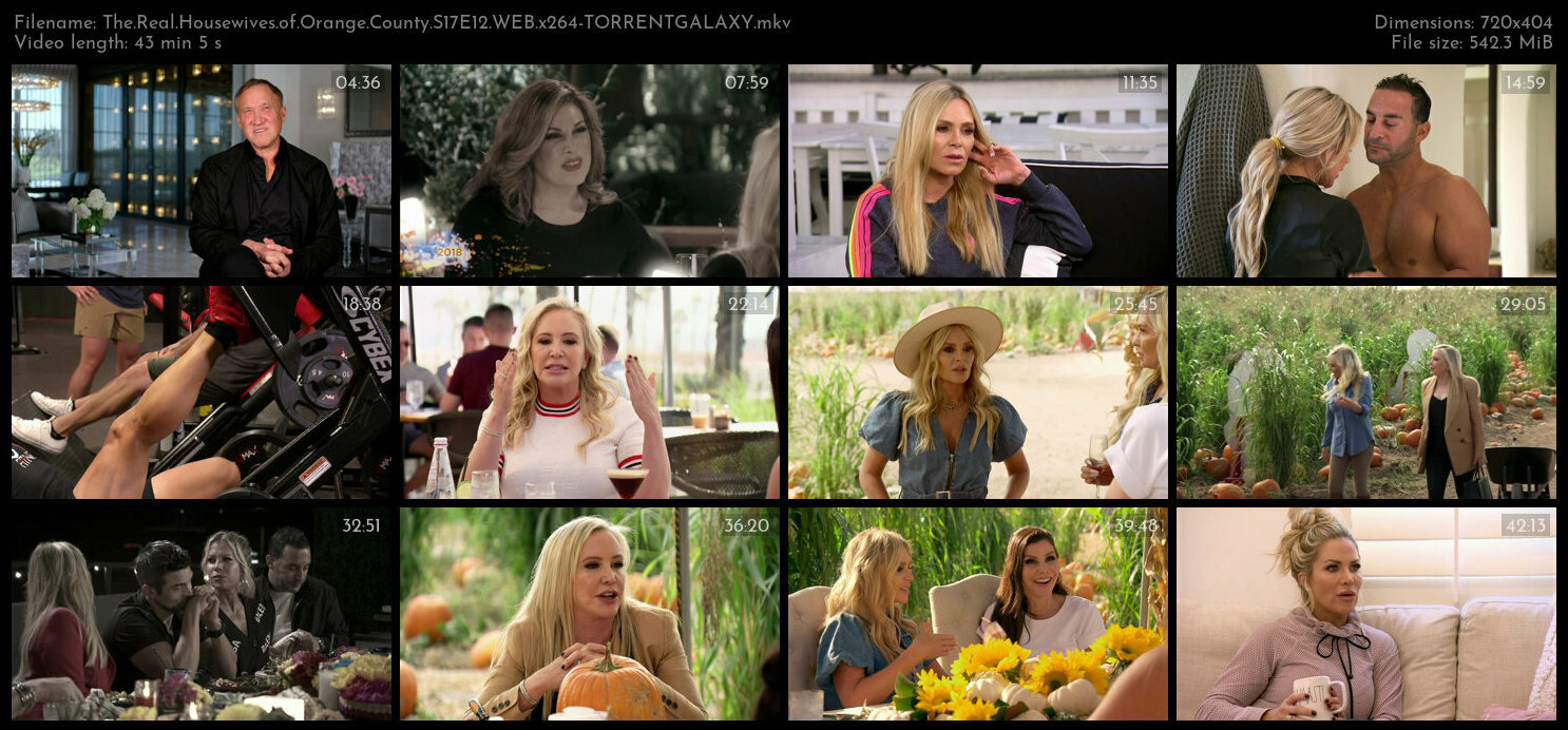The Real Housewives of Orange County S17E12 WEB x264 TORRENTGALAXY