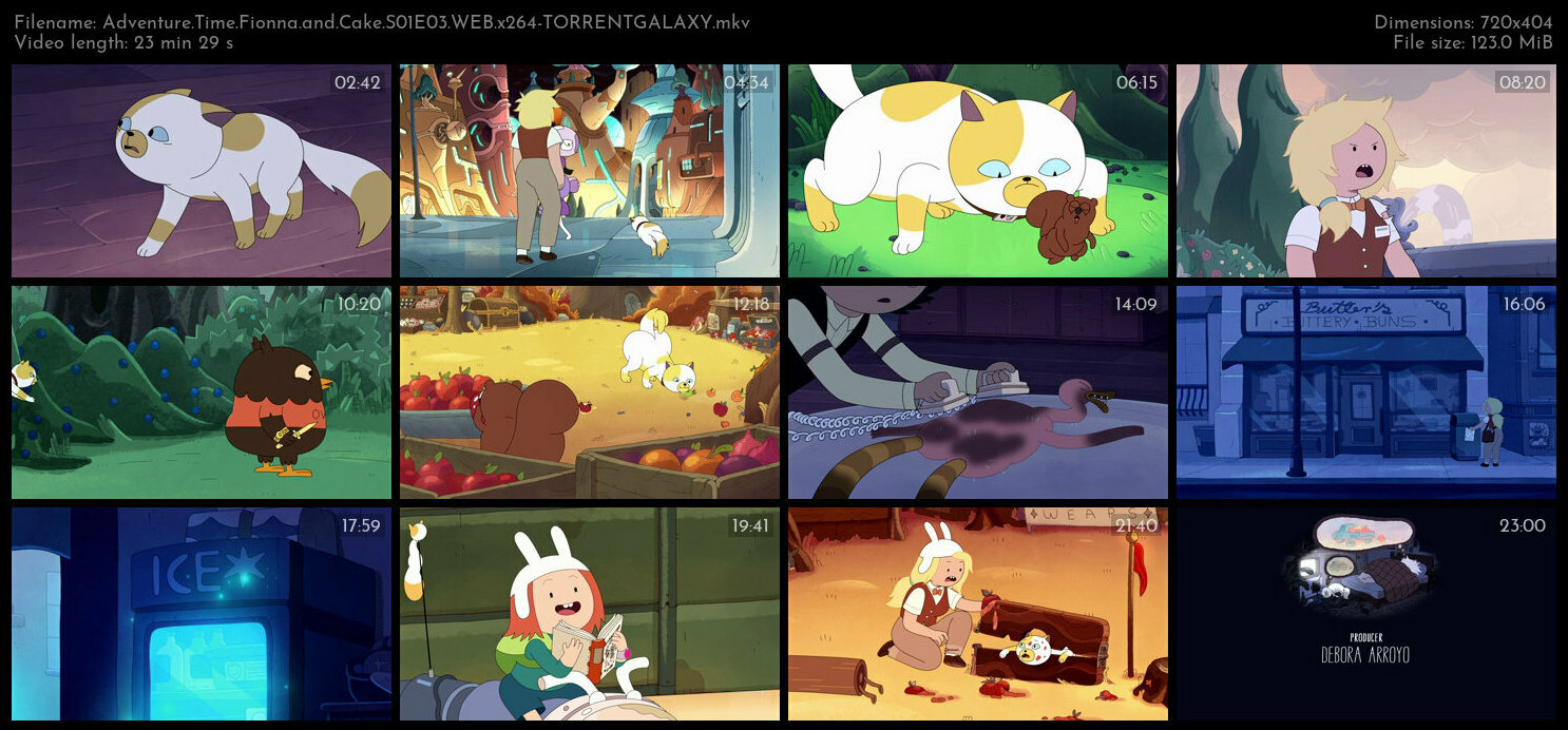 Adventure Time Fionna and Cake S01E03 WEB x264 TORRENTGALAXY