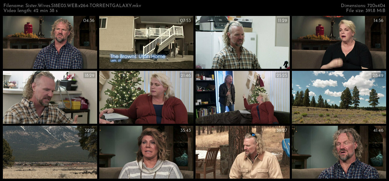 Sister Wives S18E03 WEB x264 TORRENTGALAXY