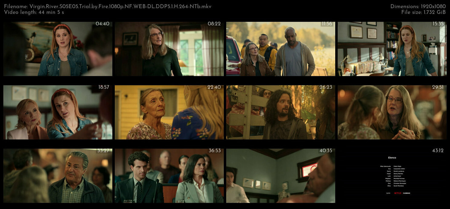 Virgin River S05E05 Trial by Fire 1080p NF WEB DL DDP5 1 H 264 NTb TGx