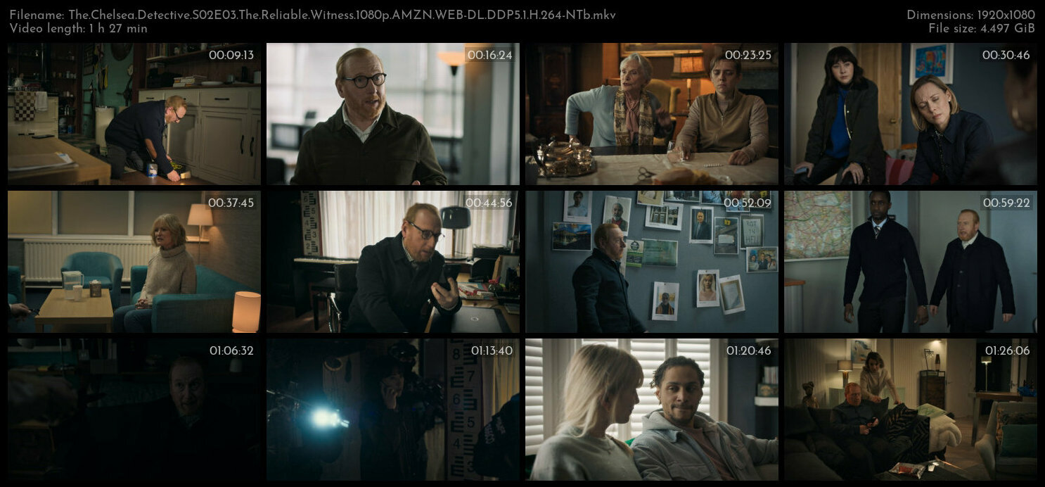 The Chelsea Detective S02E03 The Reliable Witness 1080p AMZN WEB DL DDP5 1 H 264 NTb TGx