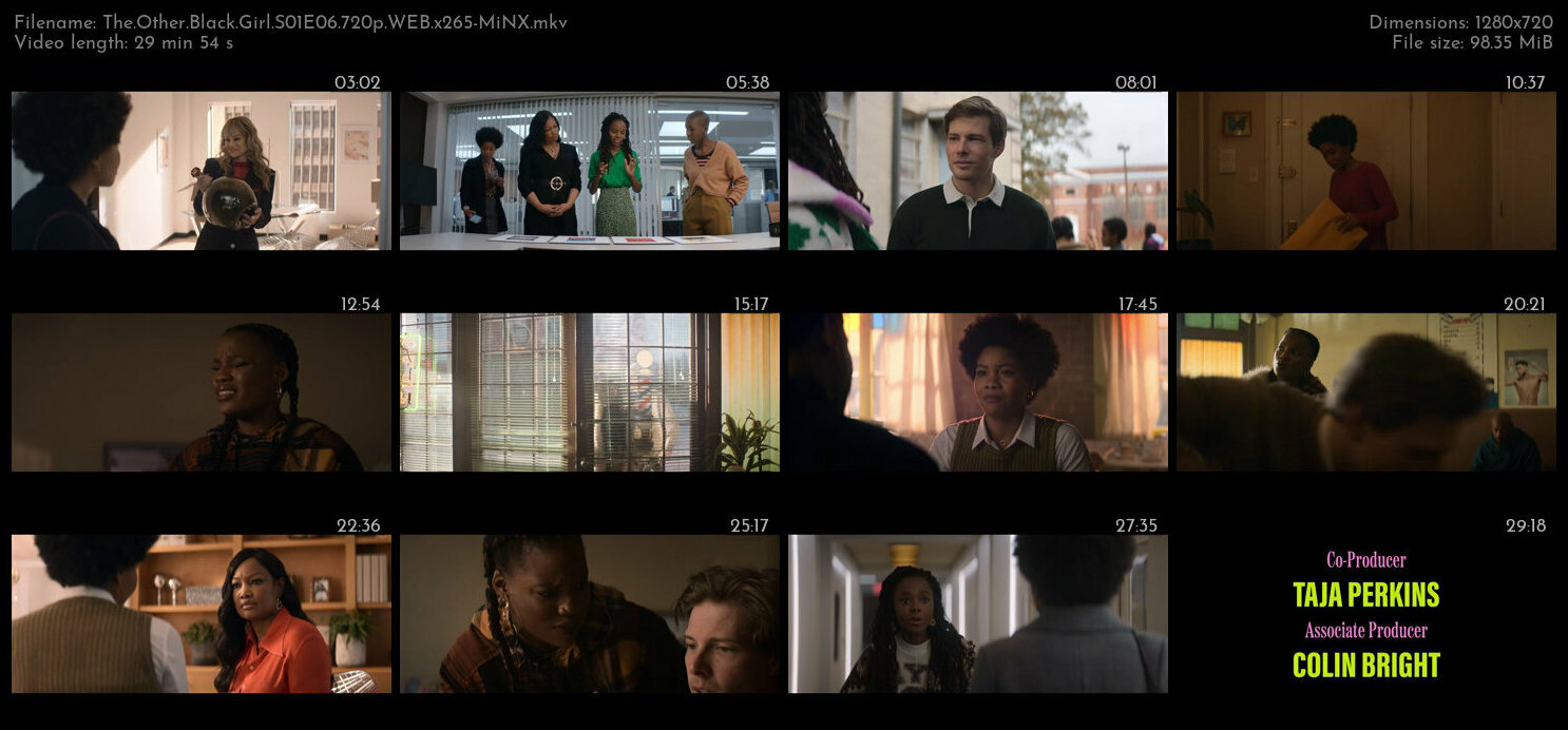 The Other Black Girl S01E06 720p WEB x265 MiNX TGx