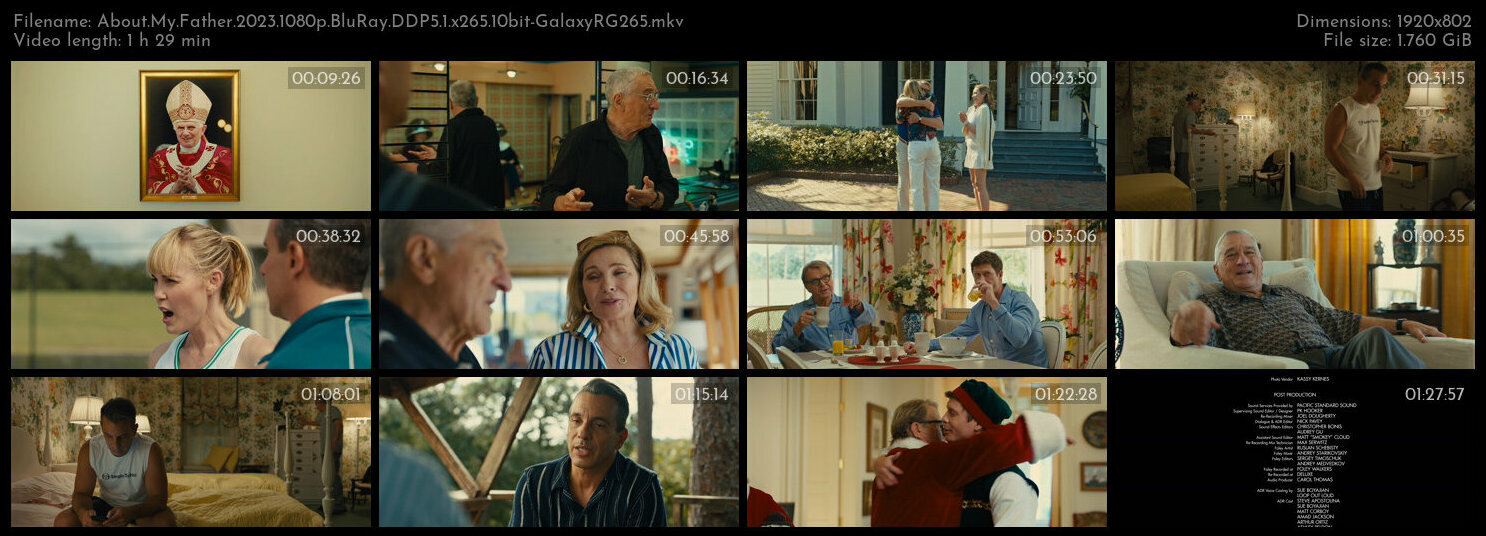 About My Father 2023 1080p BluRay DDP5 1 x265 10bit GalaxyRG265