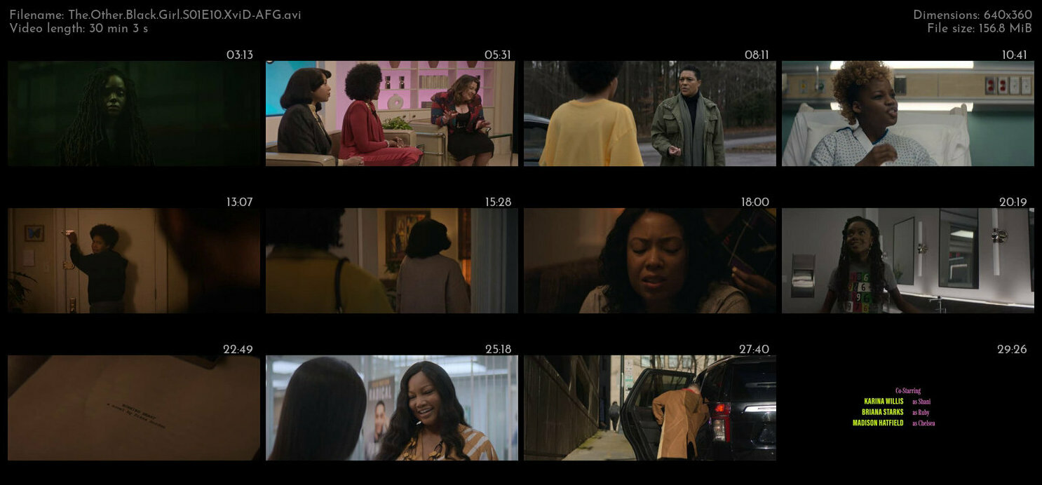 The Other Black Girl S01E10 XviD AFG TGx