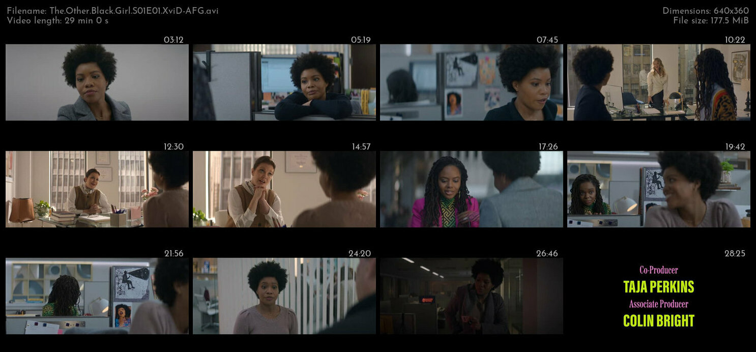 The Other Black Girl S01E01 XviD AFG TGx