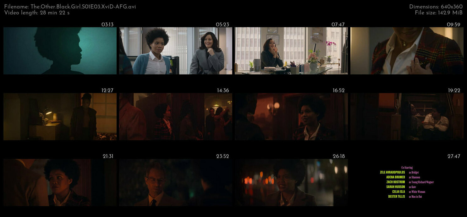 The Other Black Girl S01E03 XviD AFG TGx