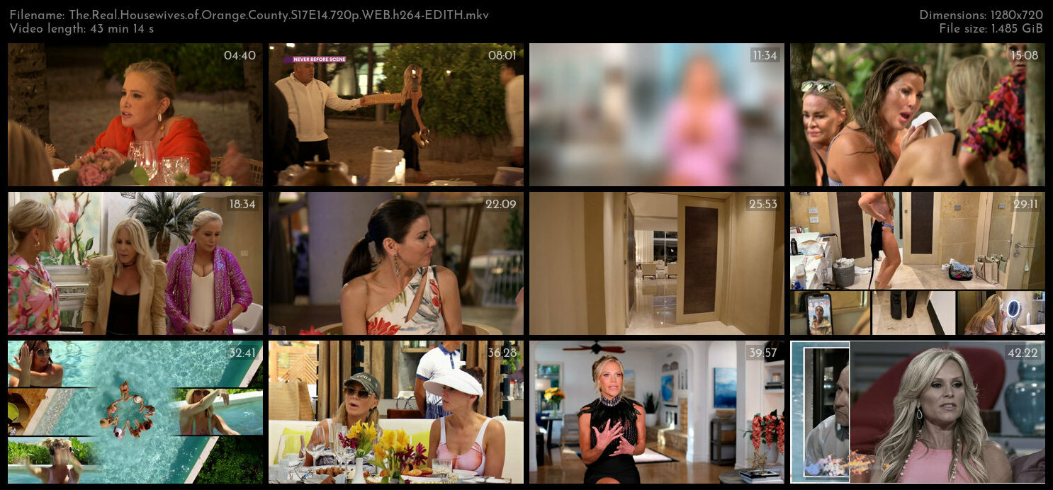 The Real Housewives of Orange County S17E14 720p WEB h264 EDITH TGx