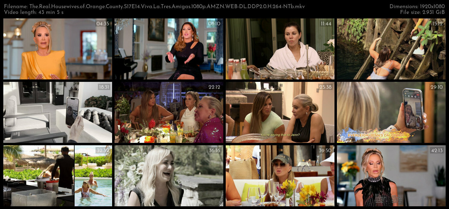 The Real Housewives of Orange County S17E14 Viva La Tres Amigas 1080p AMZN WEB DL DDP2 0 H 264 NTb T