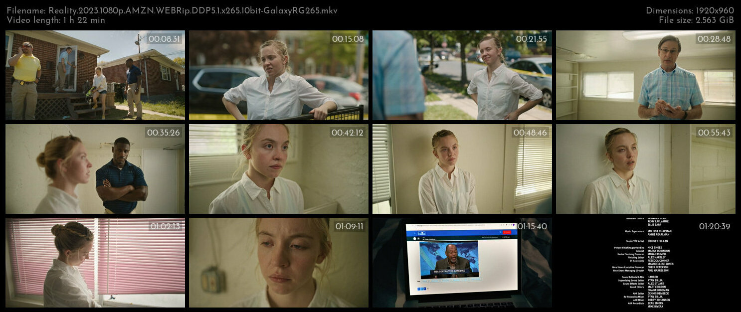 Reality 2023 1080p AMZN WEBRip DDP5 1 x265 10bit GalaxyRG265