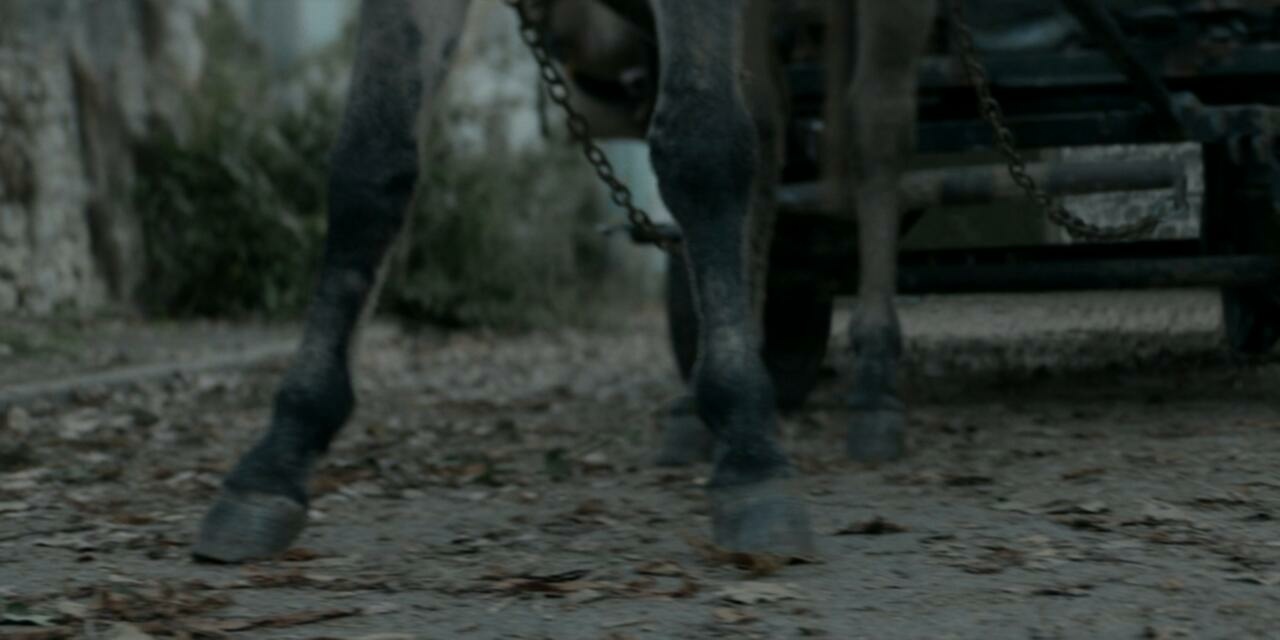 The Walking Dead Daryl Dixon S01E02 720p WEB h264 EDITH TGx