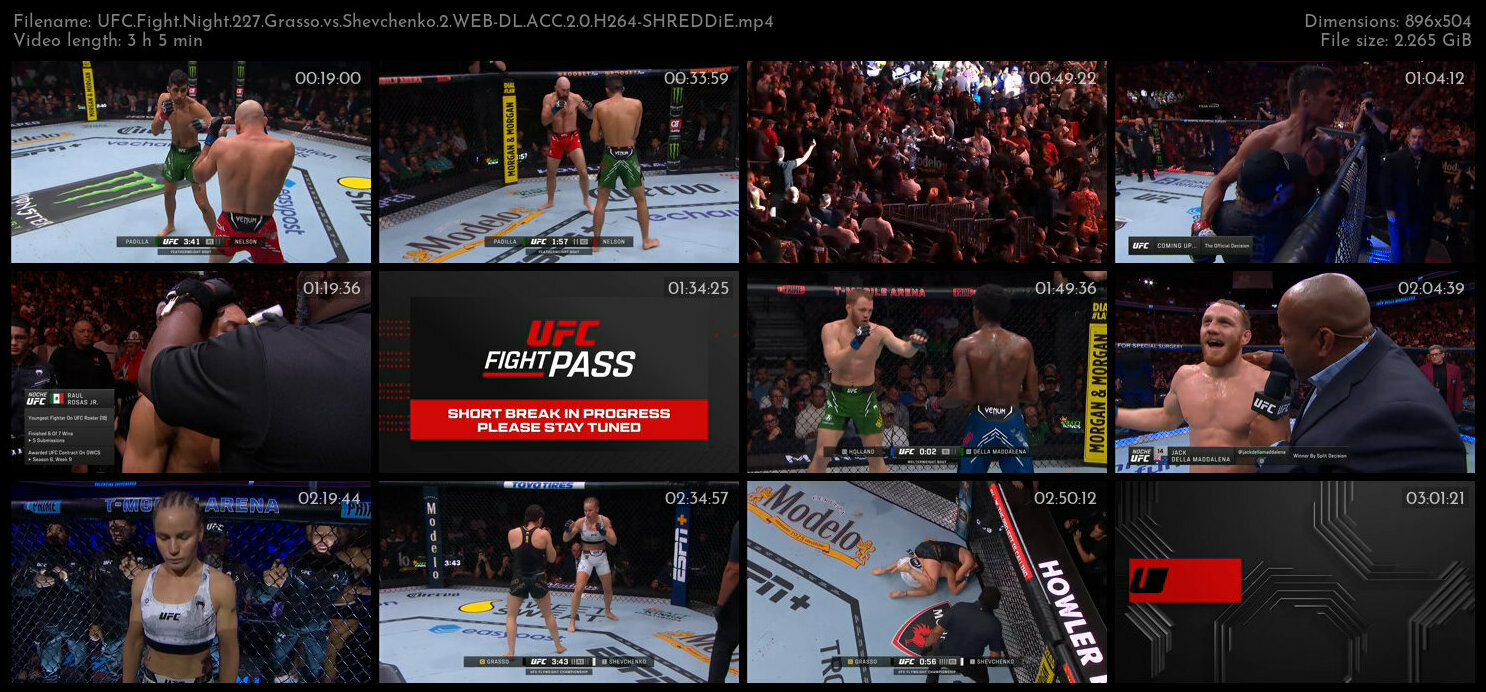 UFC Fight Night 227 Grasso vs Shevchenko 2 WEB DL ACC 2 0 H264 SHREDDiE TGx