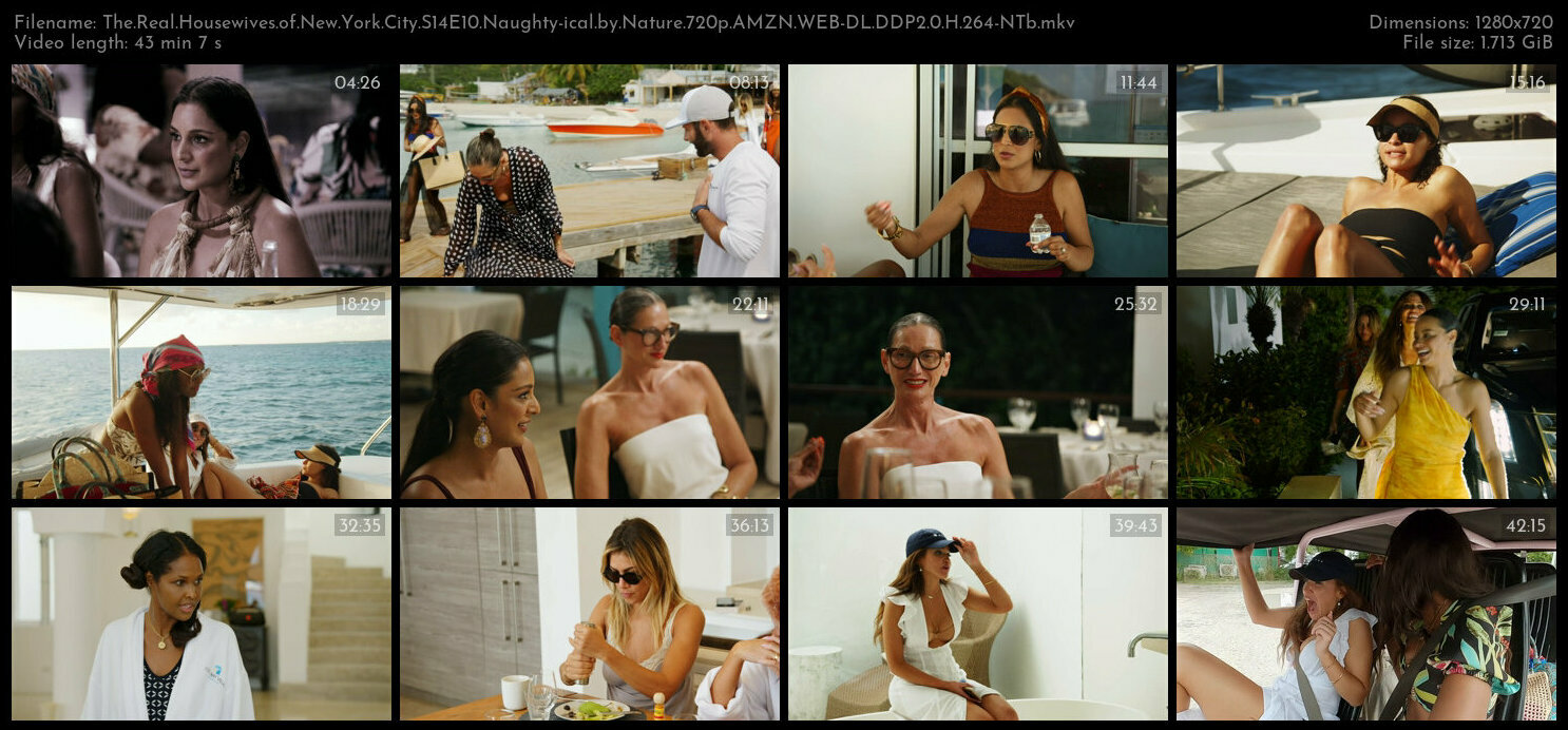 The Real Housewives of New York City S14E10 Naughty ical by Nature 720p AMZN WEB DL DDP2 0 H 264 NTb