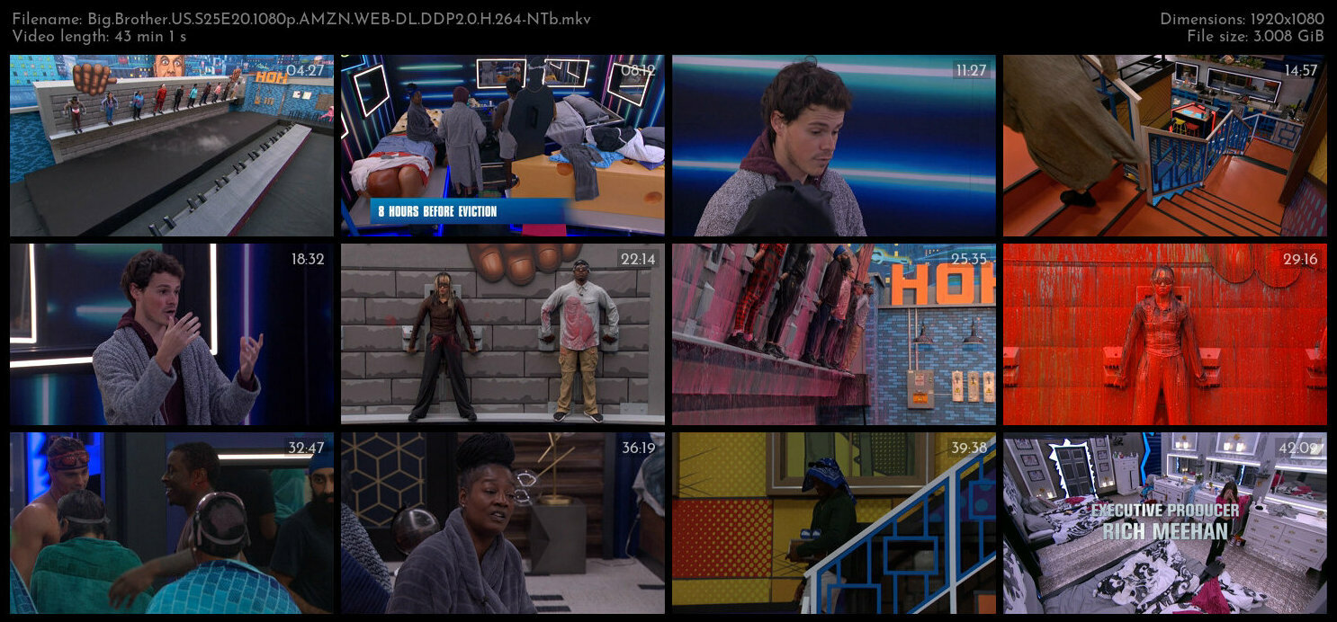 Big Brother US S25E20 1080p AMZN WEB DL DDP2 0 H 264 NTb TGx