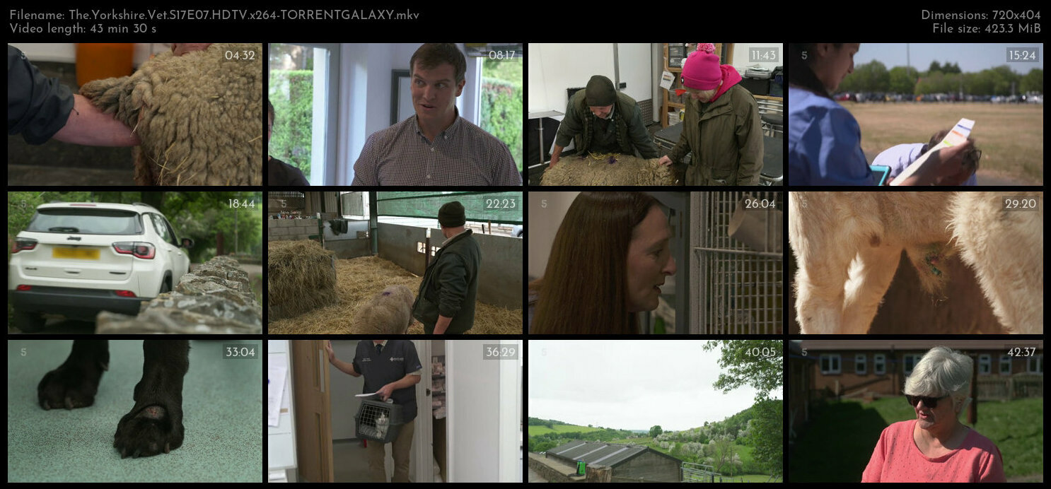 The Yorkshire Vet S17E07 HDTV x264 TORRENTGALAXY