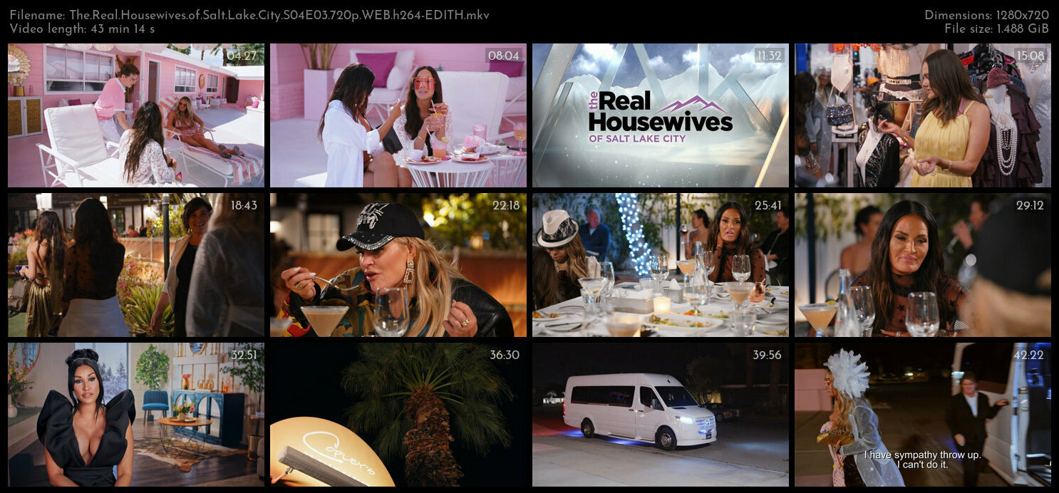 The Real Housewives of Salt Lake City S04E03 720p WEB h264 EDITH TGx