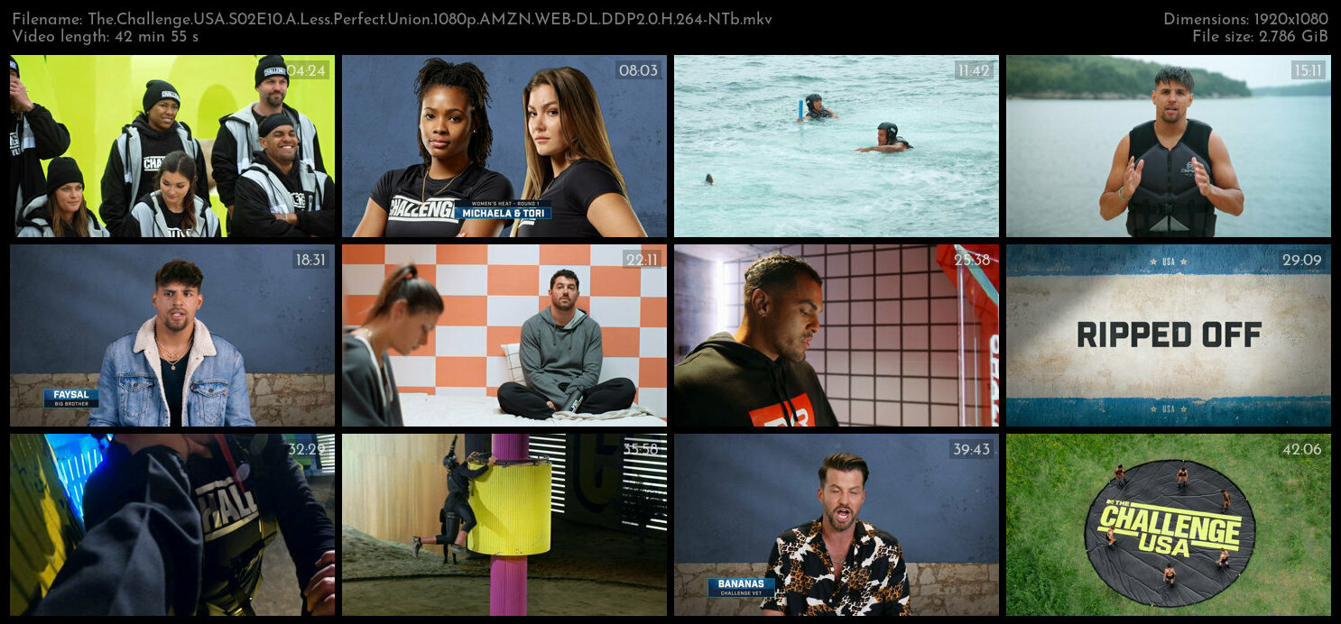 The Challenge USA S02E10 A Less Perfect Union 1080p AMZN WEB DL DDP2 0 H 264 NTb TGx