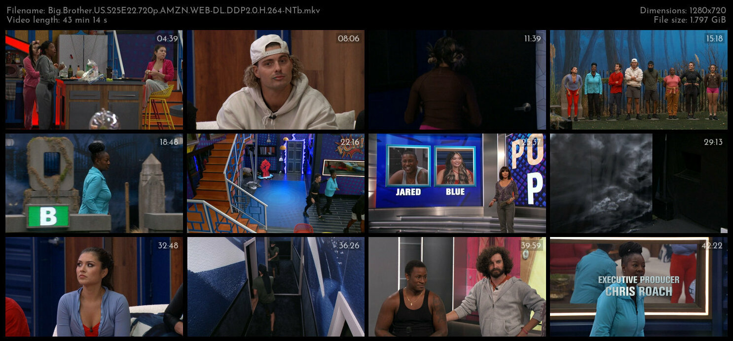 Big Brother US S25E22 720p AMZN WEB DL DDP2 0 H 264 NTb TGx