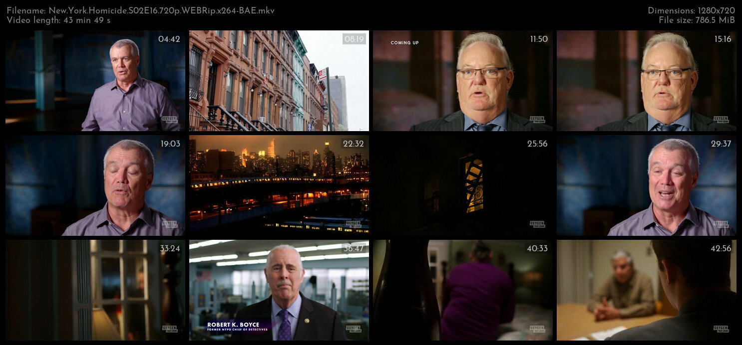 New York Homicide S02E16 720p WEBRip x264 BAE TGx