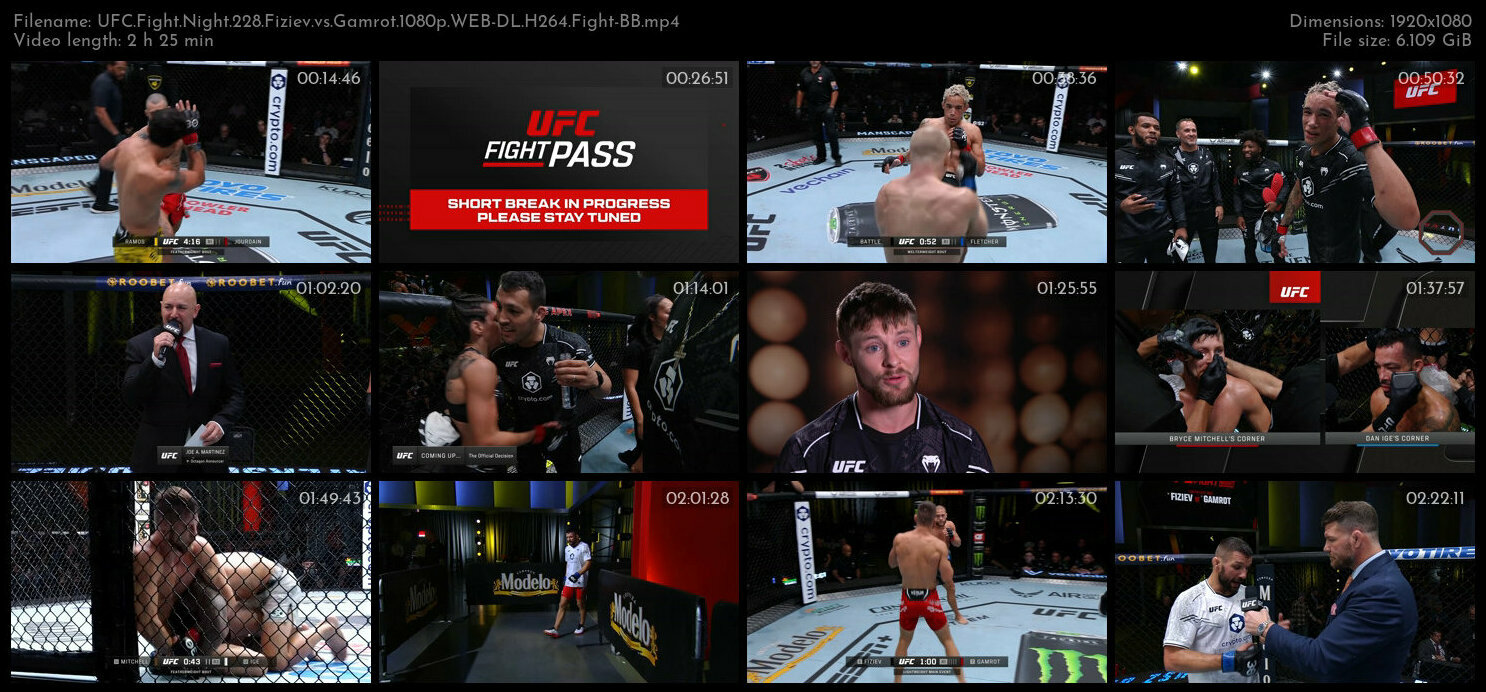 UFC Fight Night 228 Fiziev vs Gamrot 1080p WEB DL H264 Fight BB