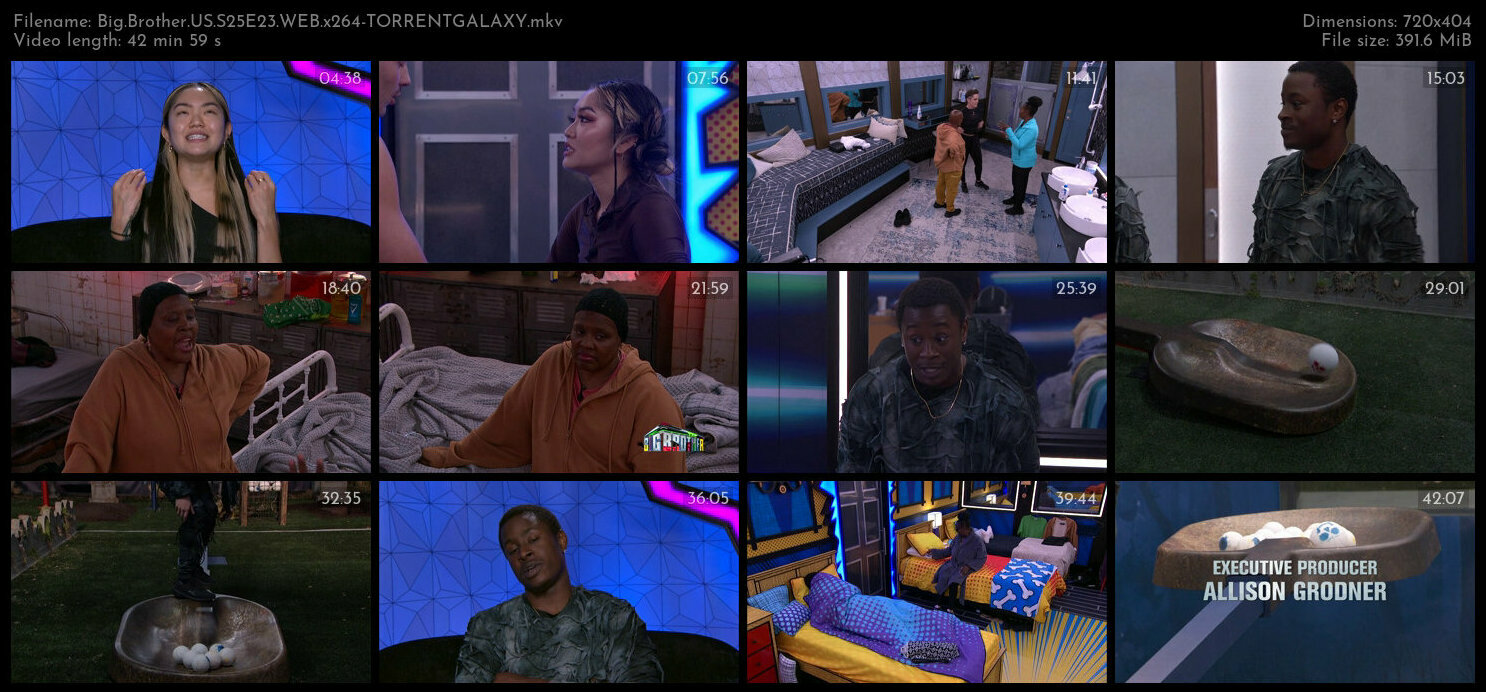 Big Brother US S25E23 WEB x264 TORRENTGALAXY