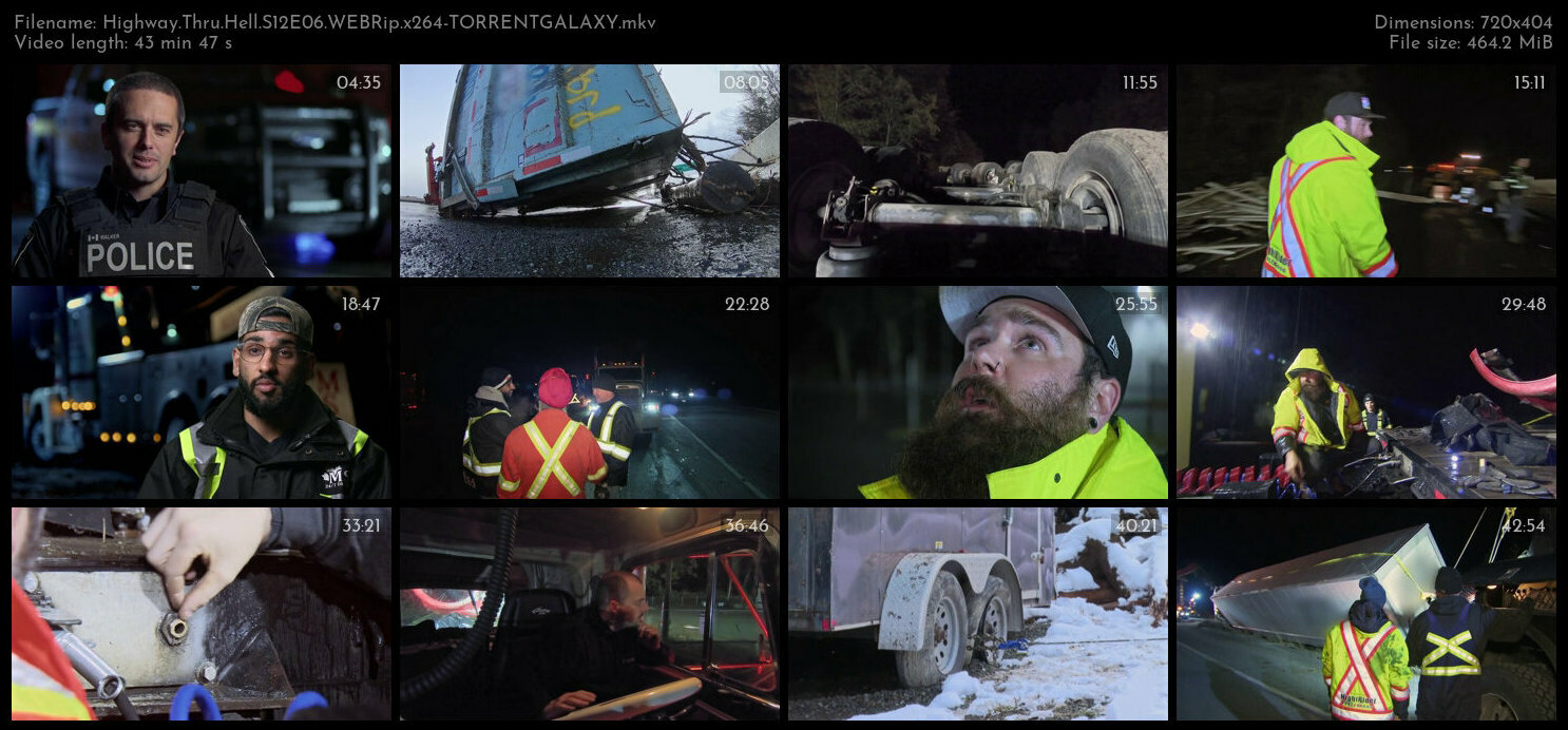 Highway Thru Hell S12E06 WEBRip x264 TORRENTGALAXY