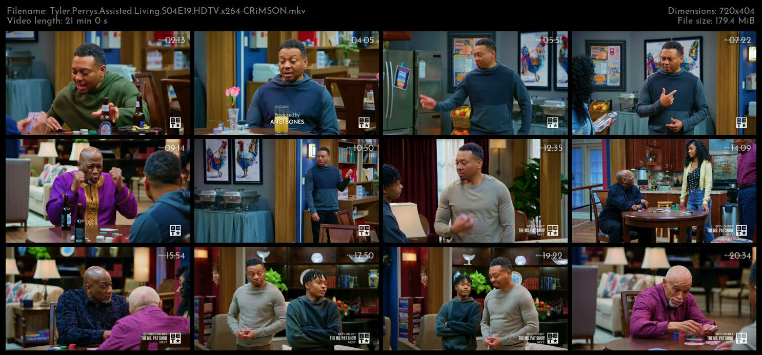 Tyler Perrys Assisted Living S04E19 HDTV x264 CRiMSON TGx