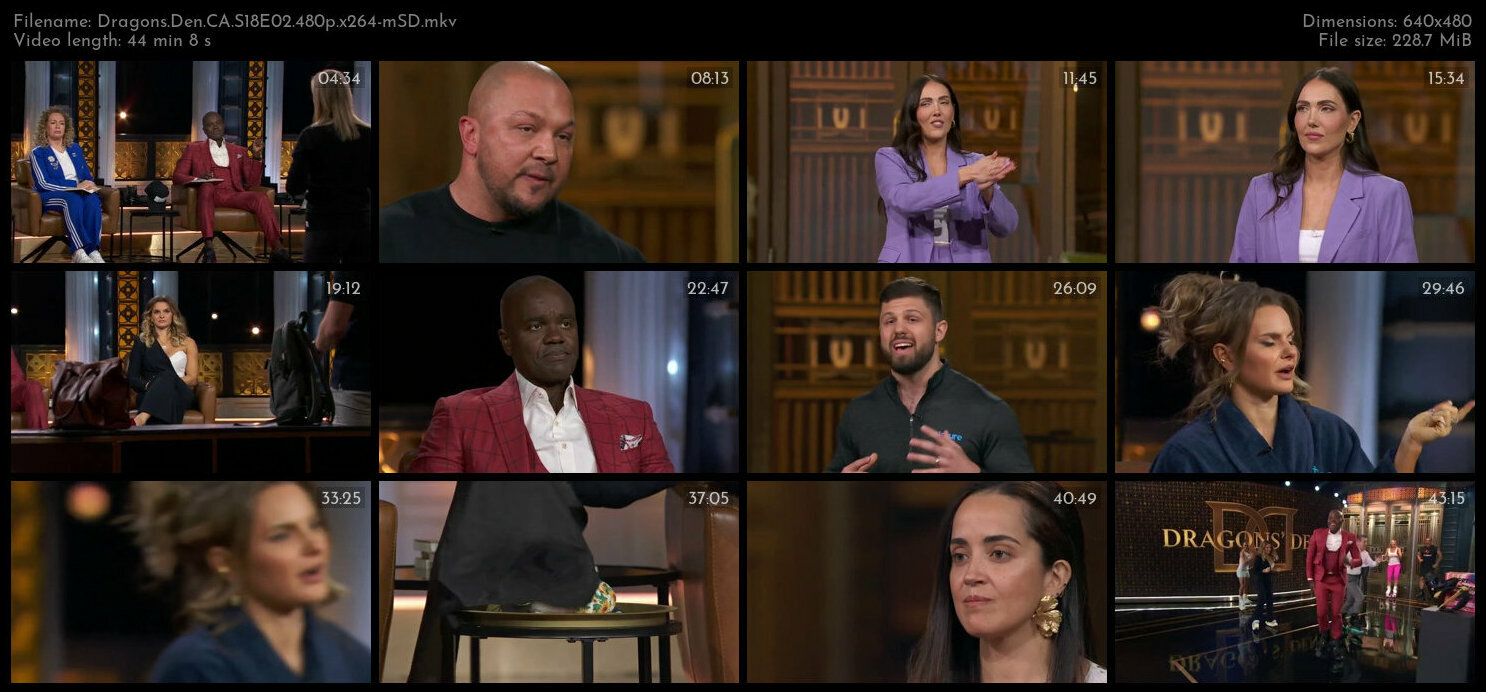 Dragons Den CA S18E02 480p x264 mSD TGx