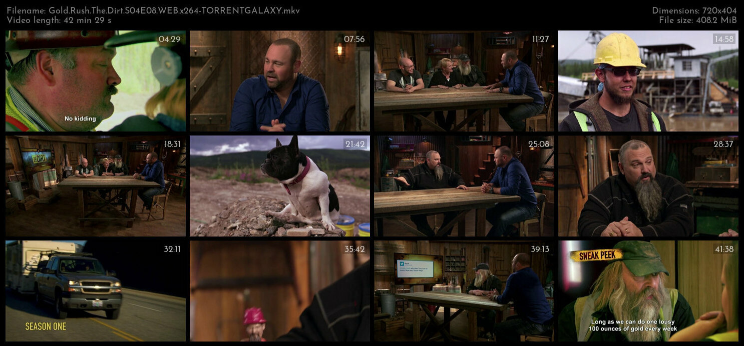 Gold Rush The Dirt S04E08 WEB x264 TORRENTGALAXY