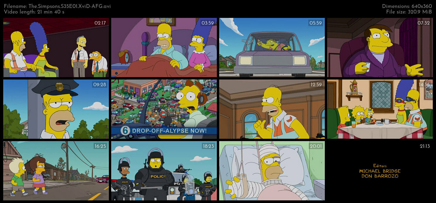 The Simpsons S35E01 XviD AFG TGx
